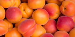 abricots